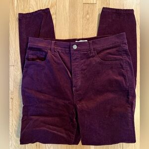 LOFT Women's Skinny Pants in Deep Purple